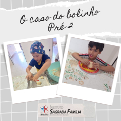 2024-caso-bolinho-isf-6