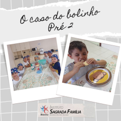 2024-caso-bolinho-isf-7
