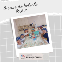2024-caso-bolinho-isf-8