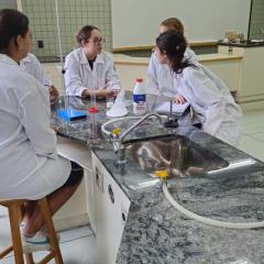 2025-laboratorio-ens-medio-instituto-sagrada-familia-7