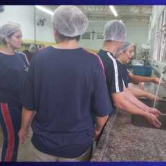 Cópia de Cópia de Cópia de Cópia de Cópia de Cópia de Cópia de Cópia de Cópia de Cópia de Cópia de Cópia de É com espírito de gratidão a Deus Pai Providente e, aos que colaboram com nossa Família “Instituto Sagrada Família”, para encerramos com chave de o - 20