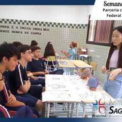 Cópia de Cópia de Cópia de Cópia de É com espírito de gratidão a Deus Pai Providente e, aos que colaboram com nossa Família “Instituto Sagrada Família”, para encerramos com chave de ouro este ciclo de “ Educação Infantil". Gratidão à coordenação pedagógic - 7