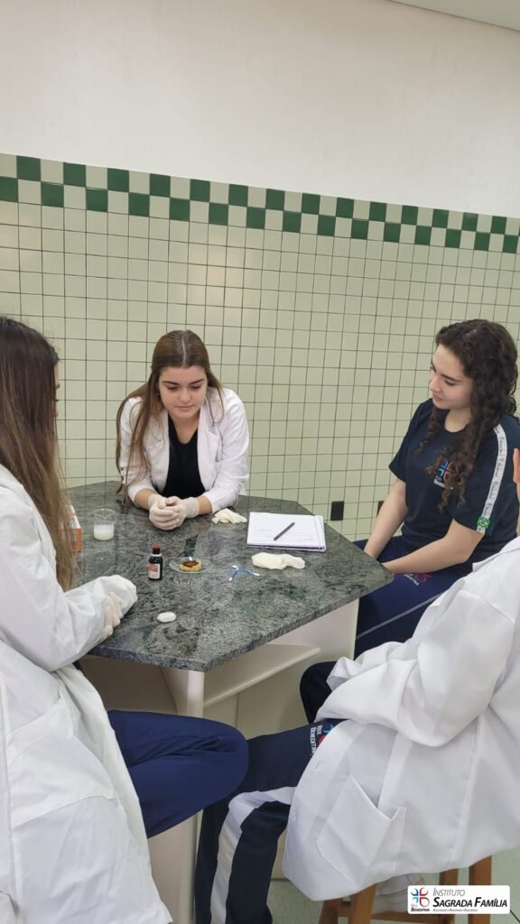 2025-laboratorio-ensino-medio-instituto-sagrada-familia-1