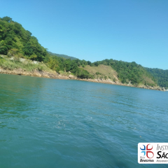 2025-8ano-9ano-passeio-instituto-sao-piox-osasco-12