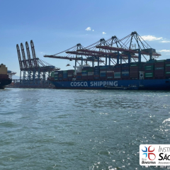 2025-8ano-9ano-passeio-instituto-sao-piox-osasco-2