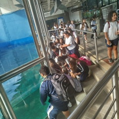 2025-8ano-9ano-passeio-instituto-sao-piox-osasco-20