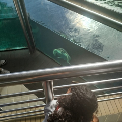 2025-8ano-9ano-passeio-instituto-sao-piox-osasco-22