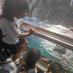 2025-8ano-9ano-passeio-instituto-sao-piox-osasco-25