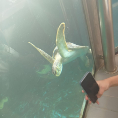 2025-8ano-9ano-passeio-instituto-sao-piox-osasco-26