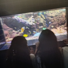 2025-8ano-9ano-passeio-instituto-sao-piox-osasco-27