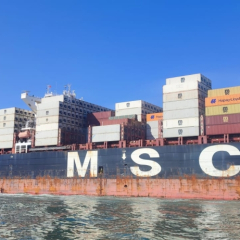 2025-8ano-9ano-passeio-instituto-sao-piox-osasco-44