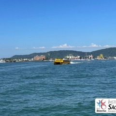 2025-8ano-9ano-passeio-instituto-sao-piox-osasco-6