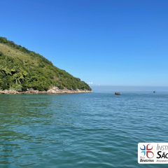 2025-8ano-9ano-passeio-instituto-sao-piox-osasco-8