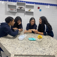 2025-fisica-9ano-instituto-sao-piox-3