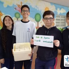 2023-alimentos-8ano-piox-3