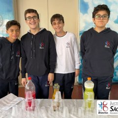 2023-alimentos-8ano-piox-9