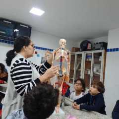 010623-PioX-AnimaisVertebrados-12