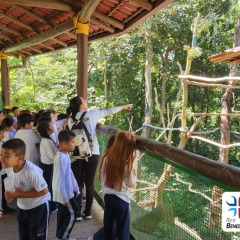 2024-animalia-piox-9