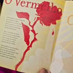 2025-contraturno-instituto-sao-piox-2