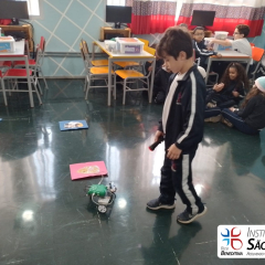 2024-robos-3ano-2024-5