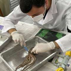 2025-ens-medio-instituto-sao-piox-osasco-12