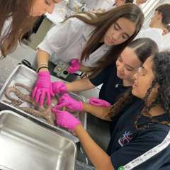 2025-ens-medio-instituto-sao-piox-osasco-8