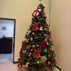 2025-auto-natal-instituto-sao-piox-osasco-8