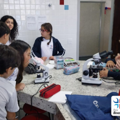 2025-5ano-lab-ciencias-instituto-sao-piox-1