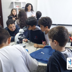 2025-5ano-lab-ciencias-instituto-sao-piox-10