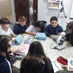 2025-5ano-lab-ciencias-instituto-sao-piox-5
