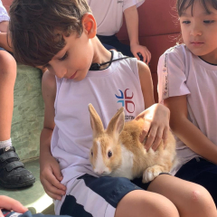 2024-bichomanina-piox-1