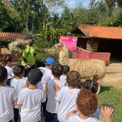 2024-bichomanina-piox-14