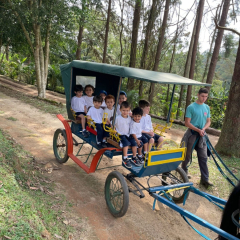2024-bichomanina-piox-30