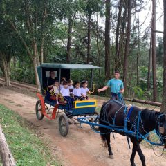 2024-bichomanina-piox-40