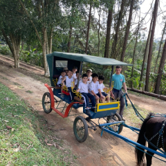 2024-bichomanina-piox-41