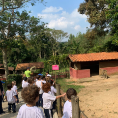 2024-bichomanina-piox-75