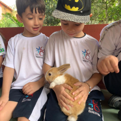 2024-bichomanina-piox-8