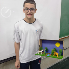 2024-bioma-brasileiros-7ano-piox-11