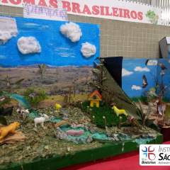 2024-bioma-brasileiros-7ano-piox-17