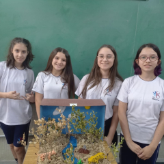 2024-bioma-brasileiros-7ano-piox-2