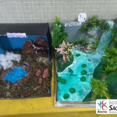 2024-bioma-brasileiros-7ano-piox-23