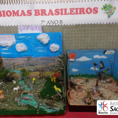 2024-bioma-brasileiros-7ano-piox-24