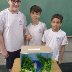 2024-bioma-brasileiros-7ano-piox-4