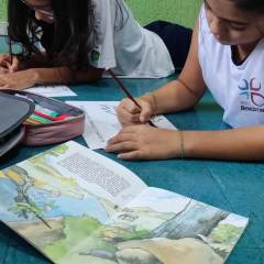 2024-bloquinho-piox-4