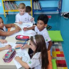 2024-bloquinho-piox-6