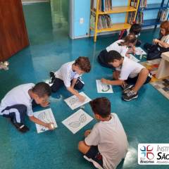 2024-bloquinho-piox-8