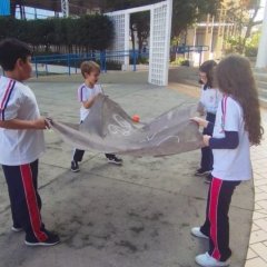 2023-cai-buraco-piox-3