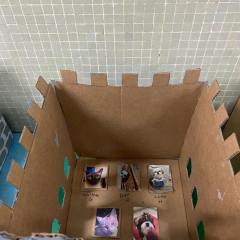 2025-8ano-instituto-sao-pio-x-13