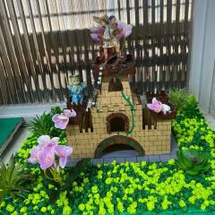 2025-8ano-instituto-sao-pio-x-6