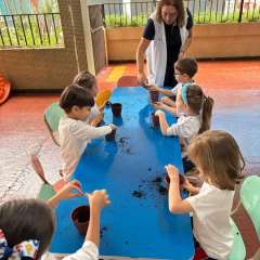 2025-ed-infantil-arvore-1-instituto-sao-piox-osasco-1